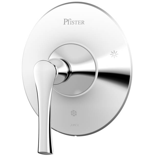 Pfister Rhen Volume Shower Faucet & Reviews Wayfair